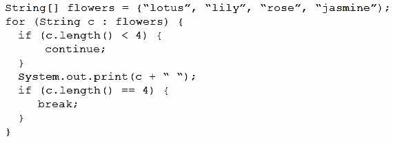 1Z0-811 practice exam questions