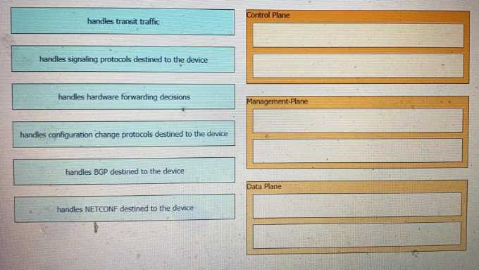 200-901 practice exam questions