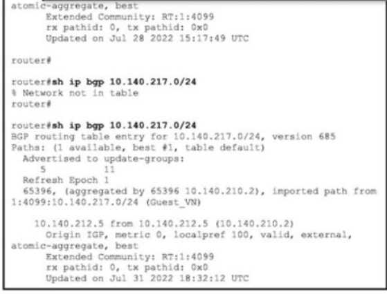 CISCO 300-410 question