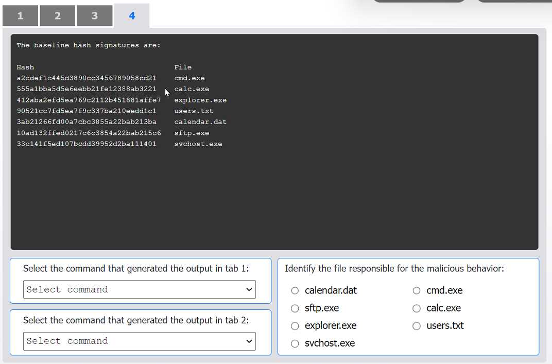 Free CS0-003 Practice Questions – 2026 Updated Analyst+ CS0-003 question
